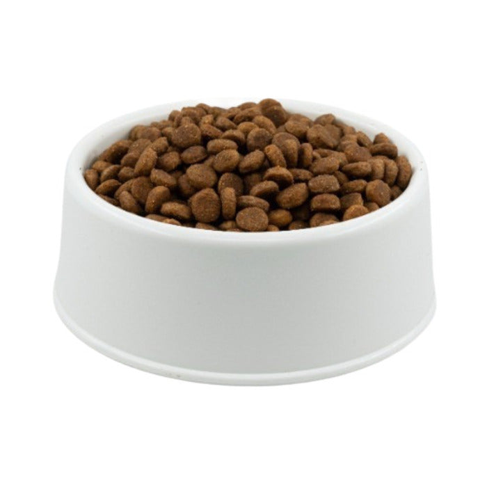 Açık Proplan Medium Somonlu Orta Irk Yetişkin Köpek Maması 1 kg