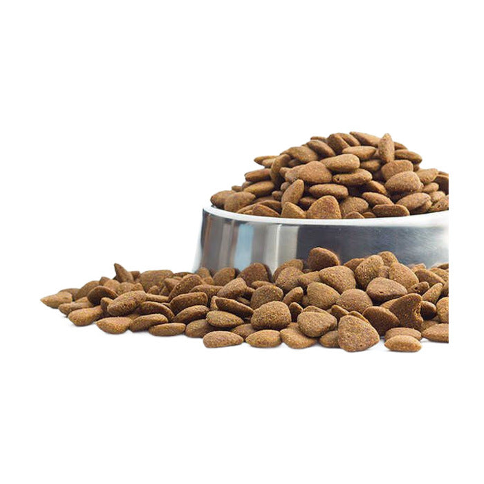 Pro Plan Medium Kuzu Etli Açık Yetişkin Köpek Maması 1KG
