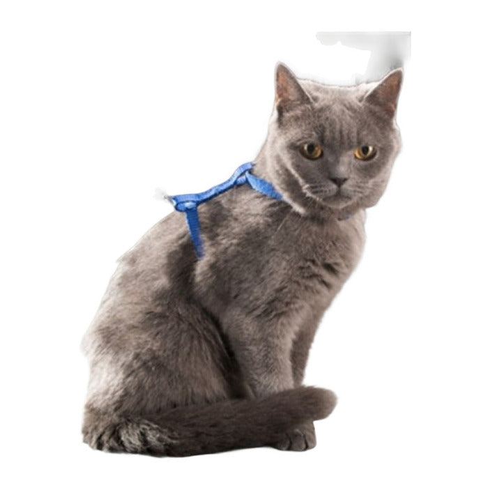 Kedi Boyun Ve Göğüs Tasması