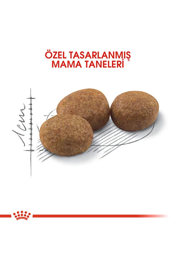 Royal Canin Sterilised 37 Kısırlaştırılmış Yetişkin Kedi Maması 4 Kg