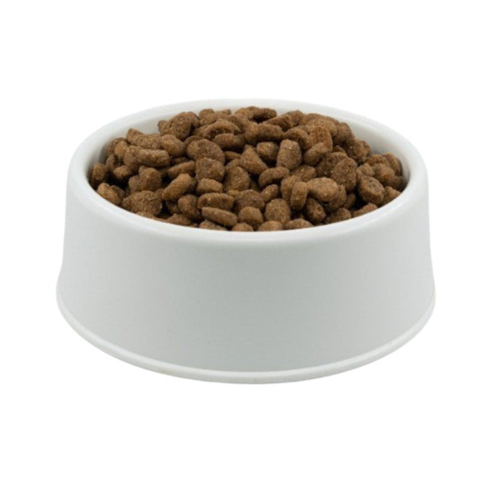 Kuzu Etli Yetişkin Köpek Maması Açık