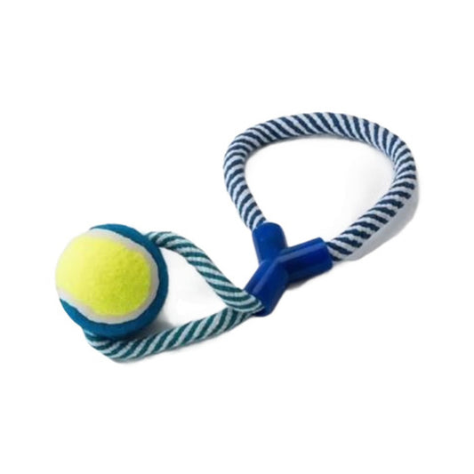 Tenis Toplu Hayat Oyuncak