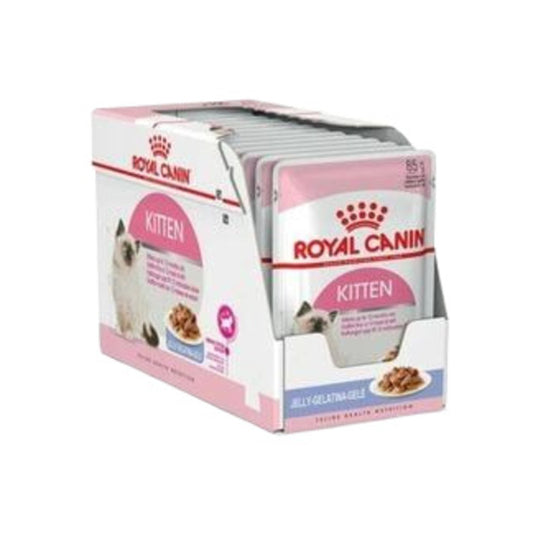 Kitten Jelly 85 Gr 12 Adet